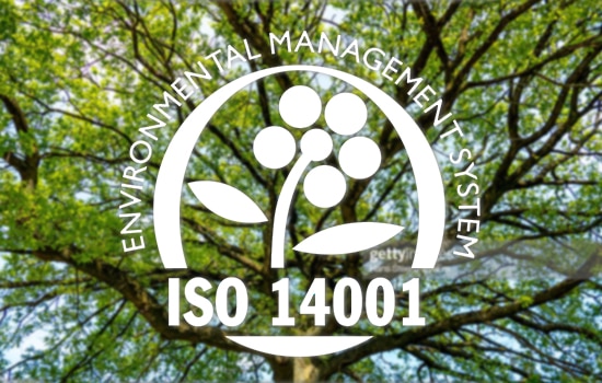 Strom v pozadí s piktogramem pro ISO 14001 – Systém environmentálního managementu